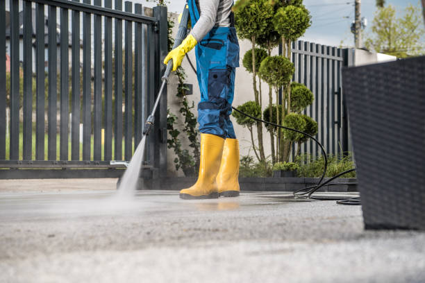 Best Oil Spill Cleanup  in St Paris, OH
