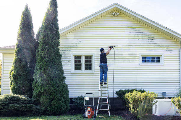Best Spring Cleaning  in St Paris, OH